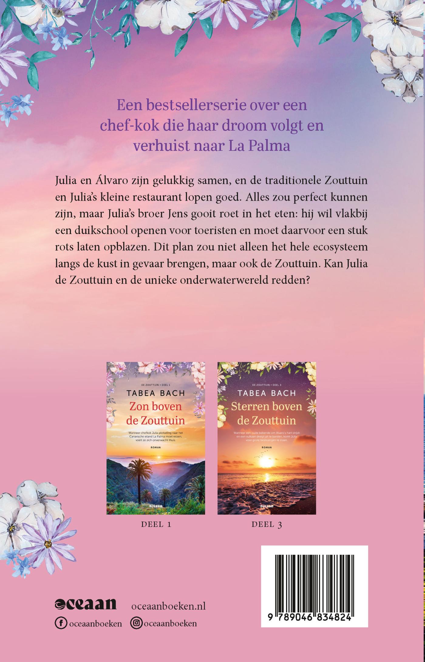 Achterkant van Wolken boven de Zouttuin