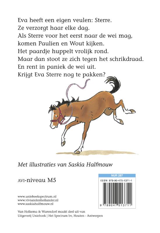 Achterkant van Een veulen op De Roskam