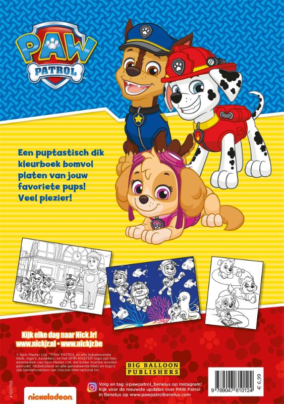 Achterkant van Paw Patrol kleurboek