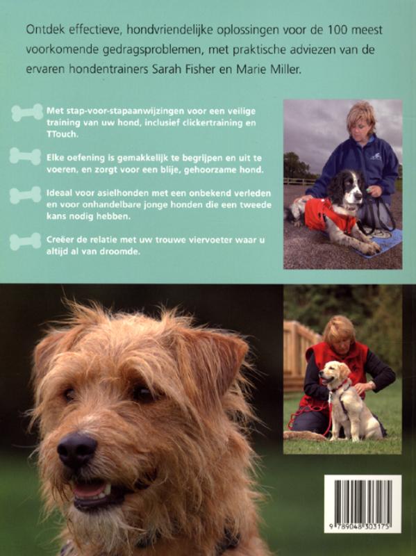 Achterkant van 100 oefeningen voor een beter gedrag van uw hond