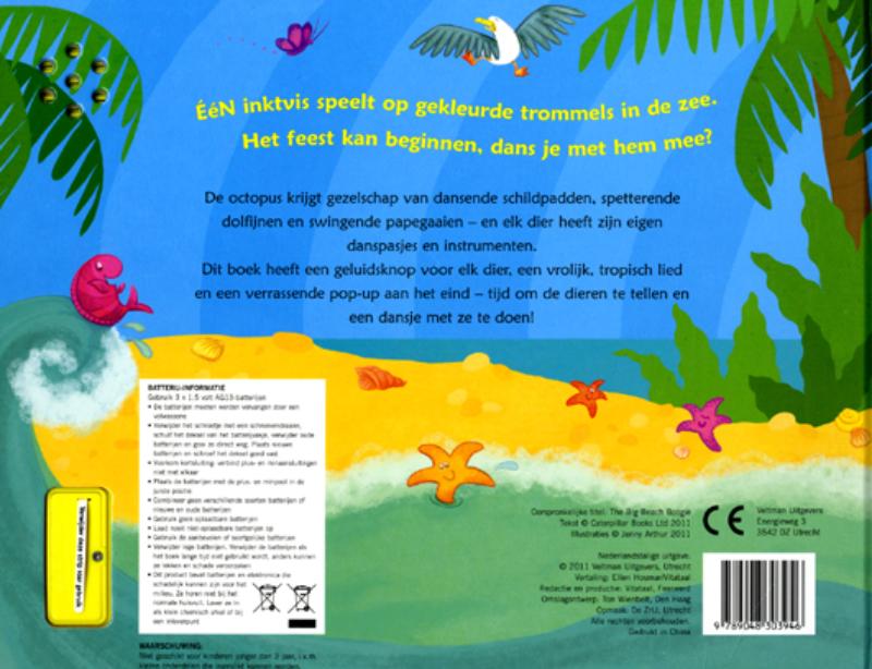 Achterkant van De strandband