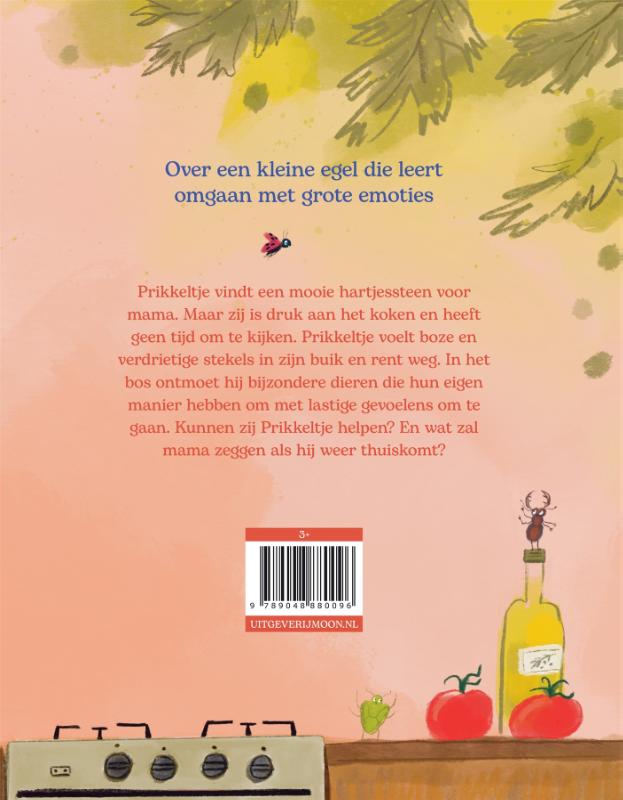 Achterkant van Over prikkeltje
