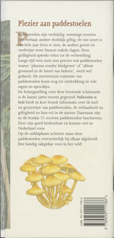Achterkant van Paddestoelen in beeld