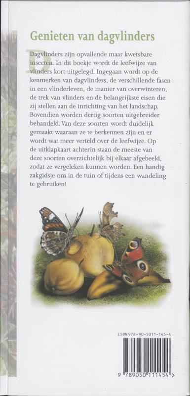 Achterkant van Dagvlinders in beeld