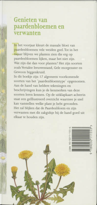 Achterkant van Paardenbloemen in beeld