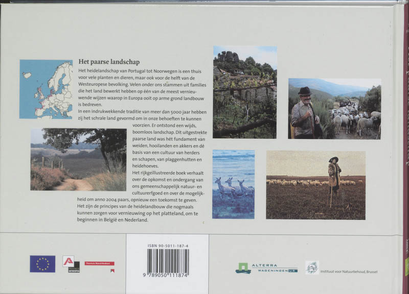 Achterkant van Het paarse landschap