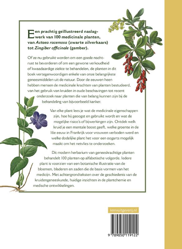 Achterkant van Botanicum medicinale