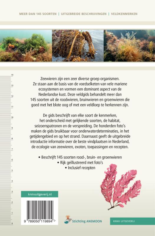 Achterkant van Veldgids zeewieren