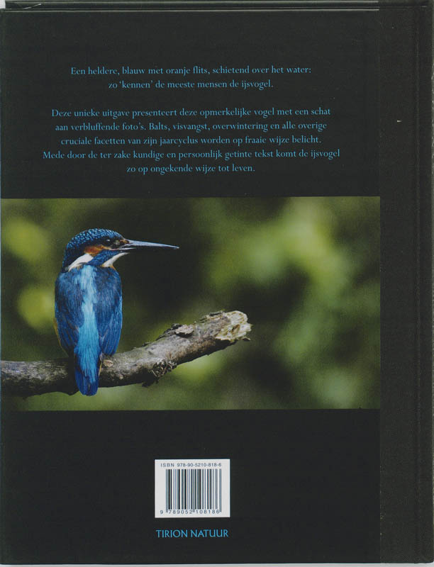 Achterkant van IJsvogels