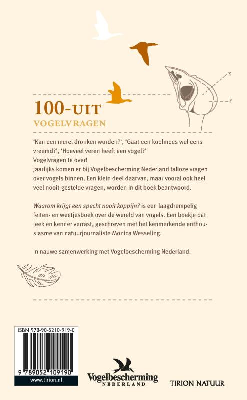 Achterkant van Waarom krijgt een specht geen koppijn