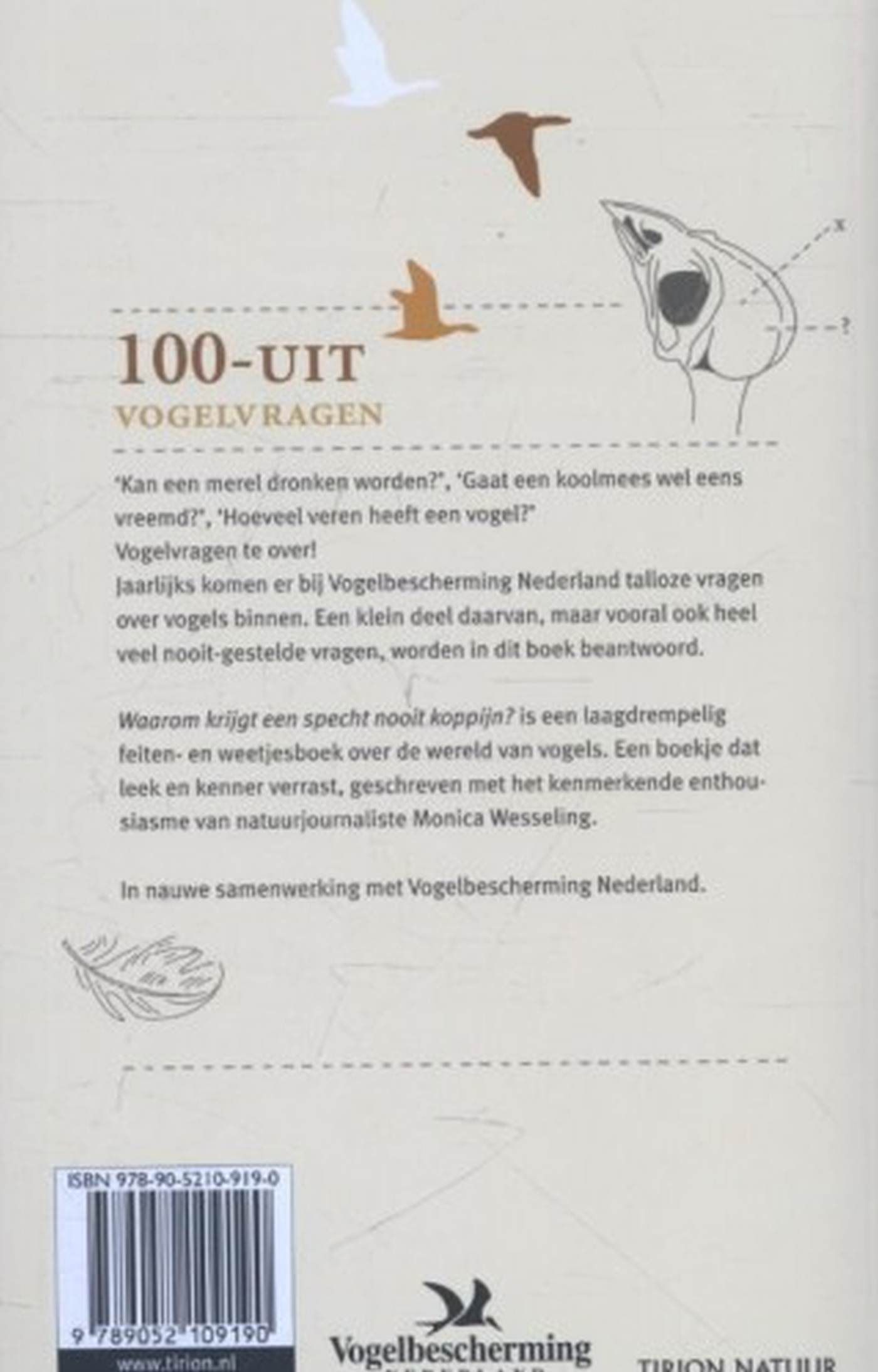 Achterkant van Waarom krijgt een specht geen koppijn