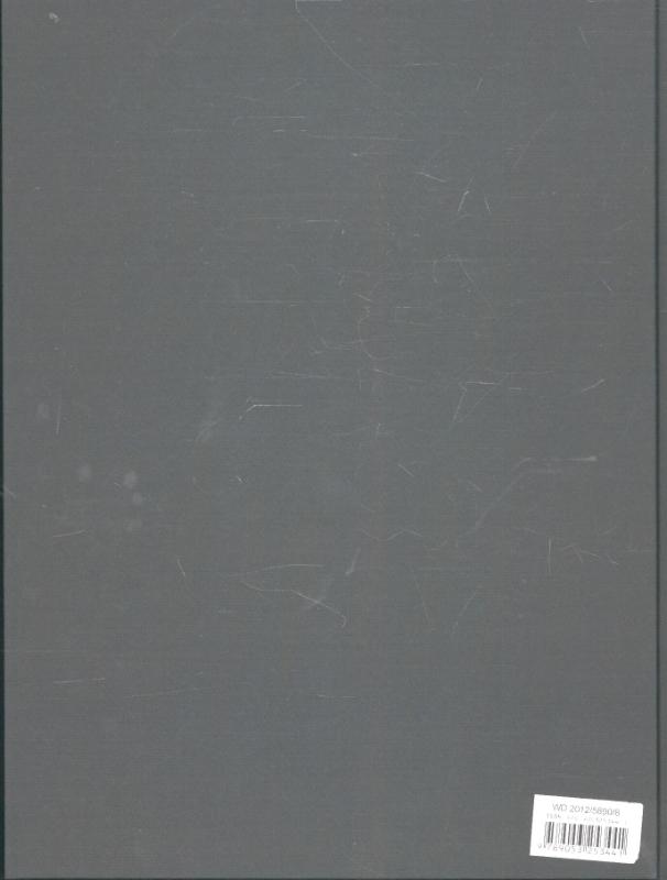 Achterkant van Jan Fabre Chalcosoma
