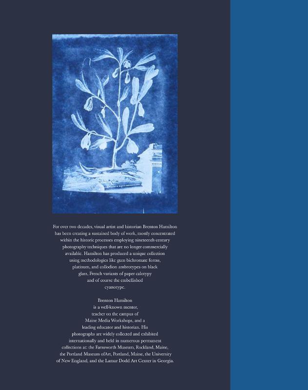 Achterkant van A Blue Idyll