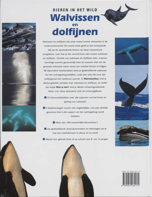 Achterkant van Walvissen en dolfijnen