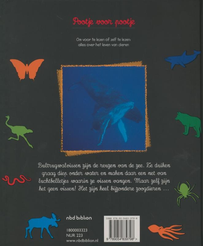 Achterkant van Walvissen