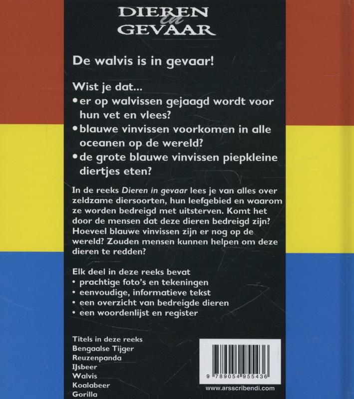 Achterkant van Walvis