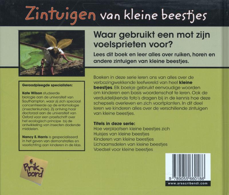 Achterkant van Zintuigen van kleine beestjes