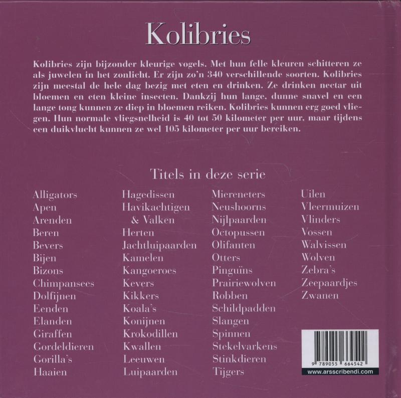 Achterkant van Kolibries