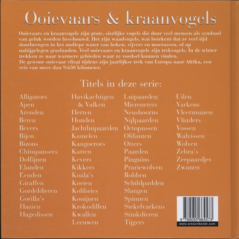 Achterkant van Ooievaars & kraanvogels