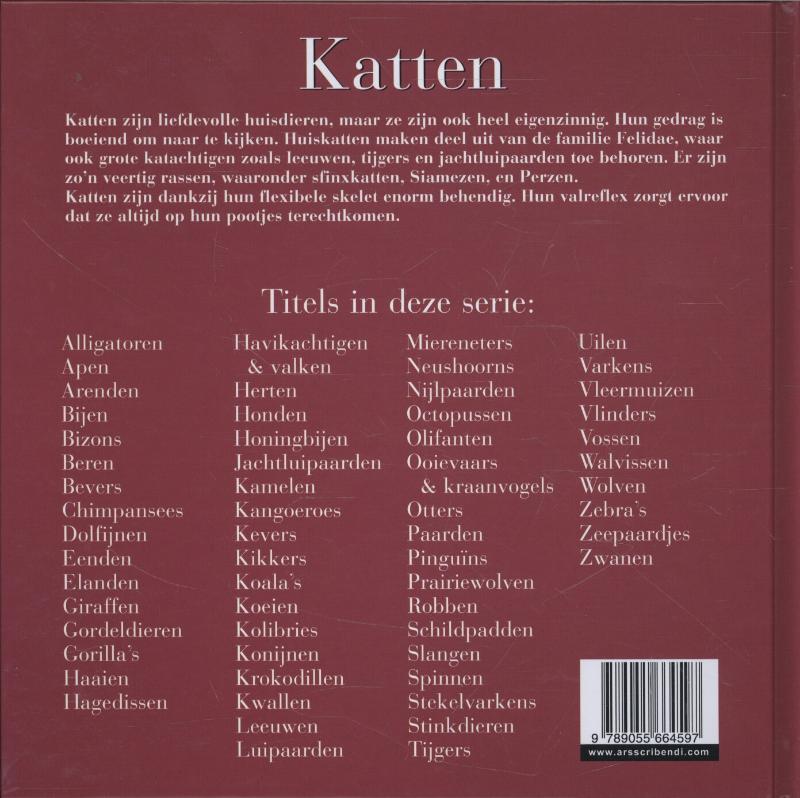 Achterkant van Katten
