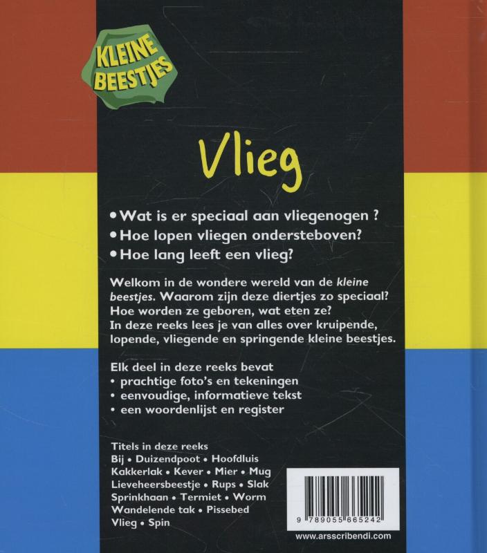 Achterkant van Vlieg