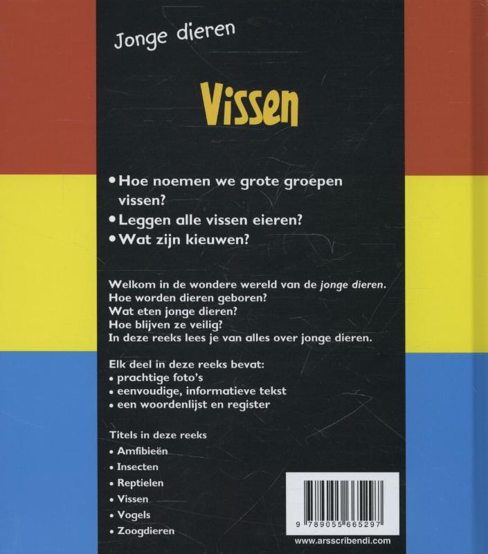 Achterkant van Vissen