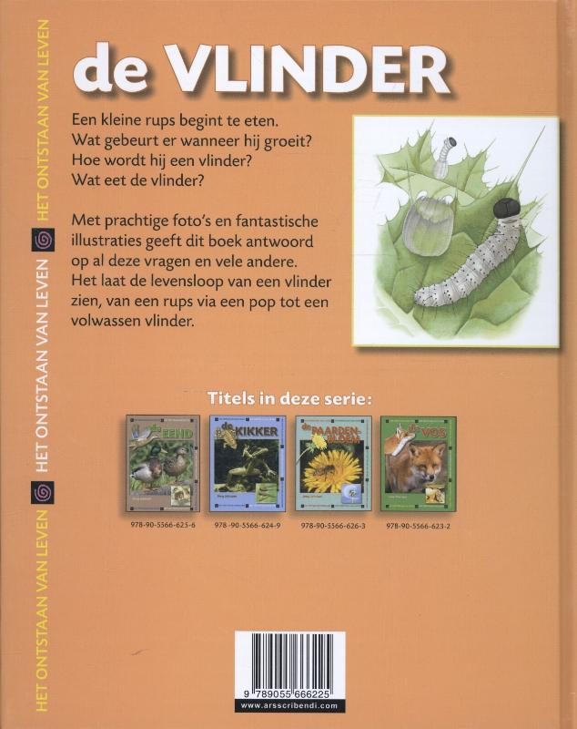 Achterkant van De vlinder