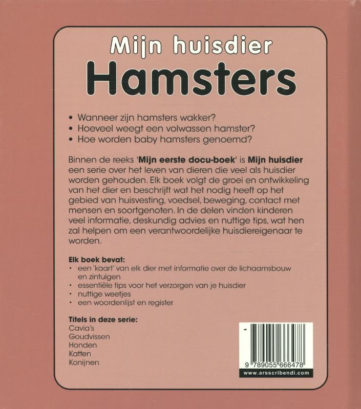 Achterkant van Hamsters