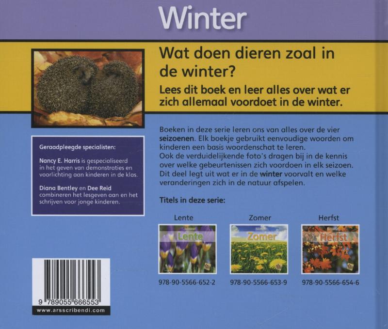 Achterkant van Winter
