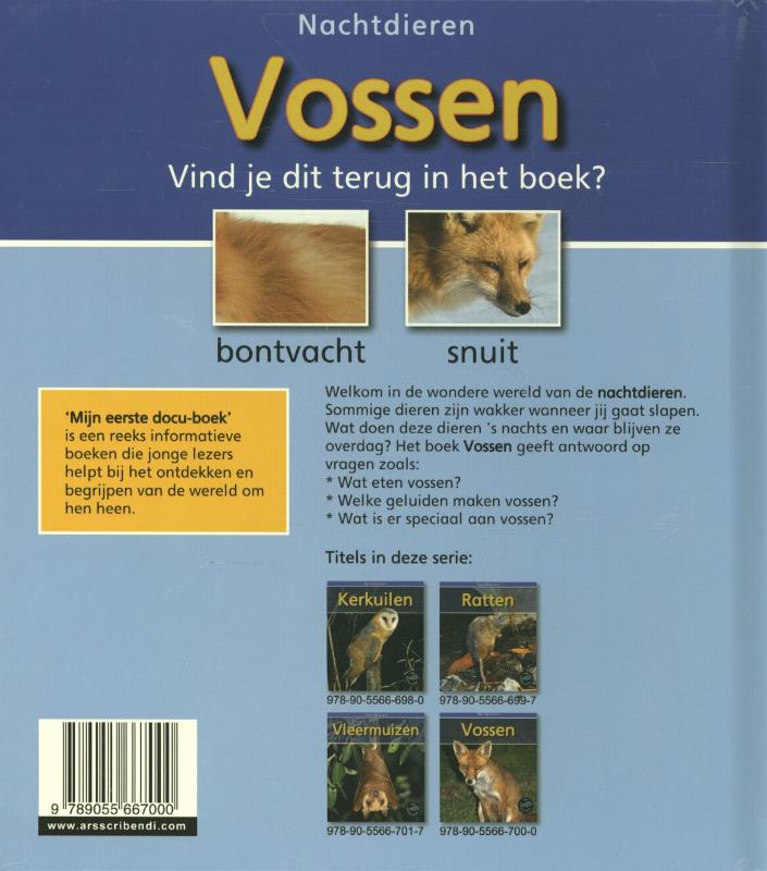 Achterkant van Vossen