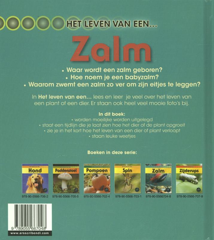 Achterkant van Zalm