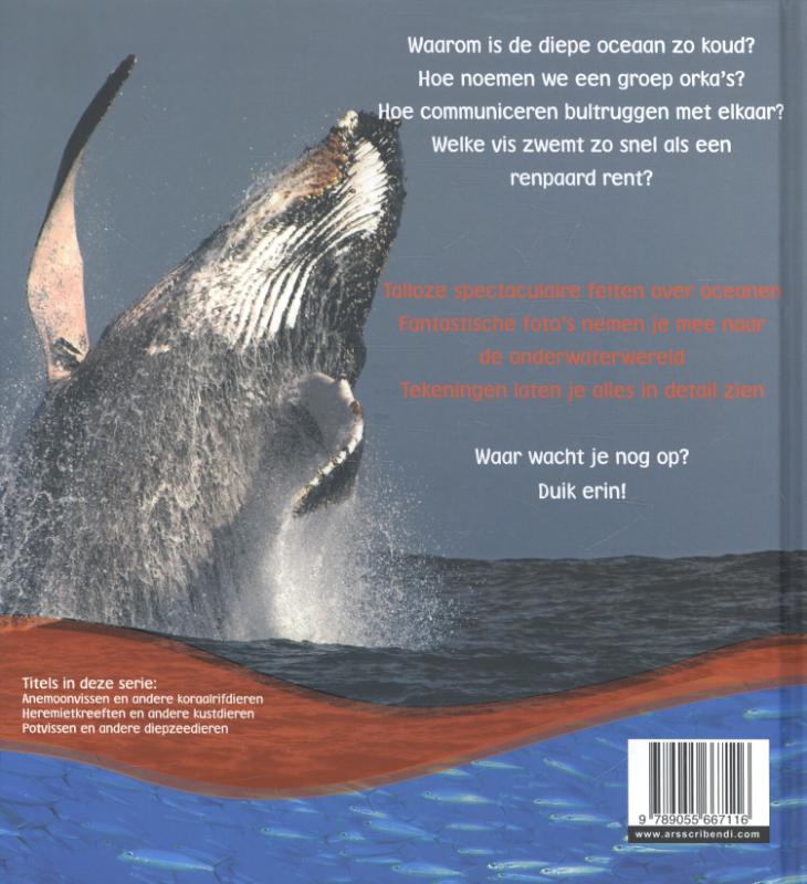 Achterkant van Orka s en andere dieren uit koude oceanen