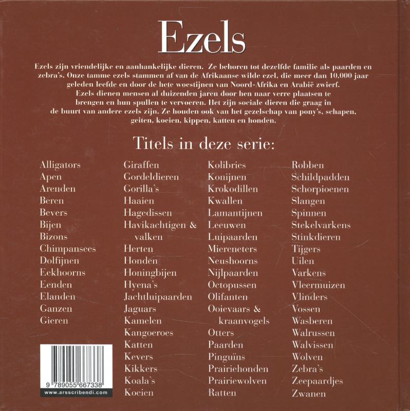Achterkant van Ezels