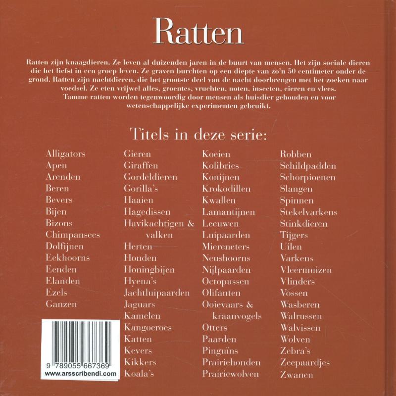 Achterkant van Ratten