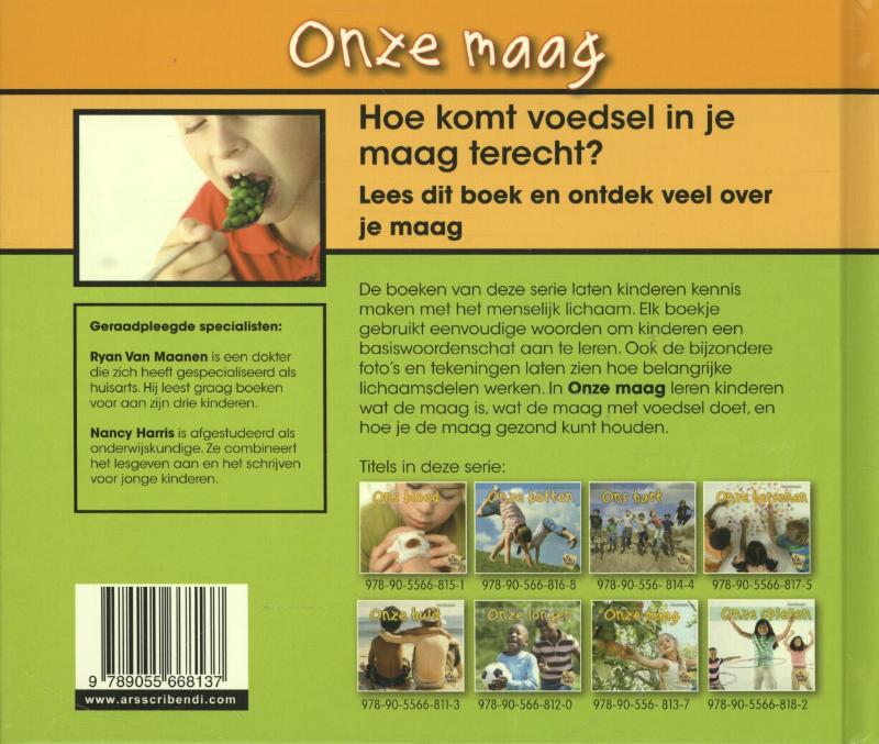 Achterkant van Onze maag