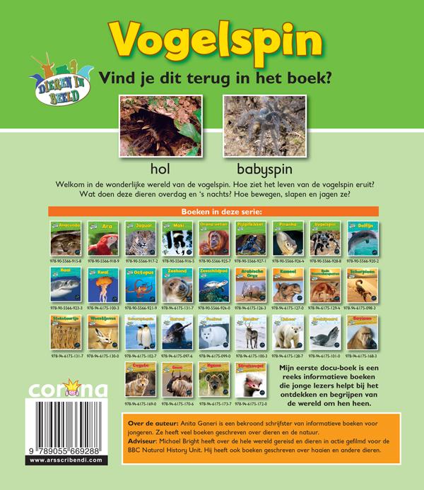 Achterkant van Vogelspin