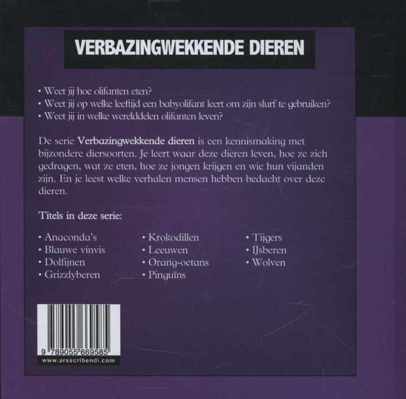 Achterkant van Olifanten