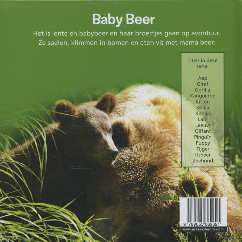 Achterkant van Beer