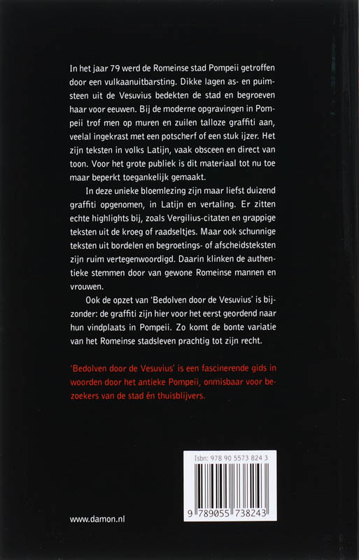 Achterkant van Bedolven door de Vesuvius