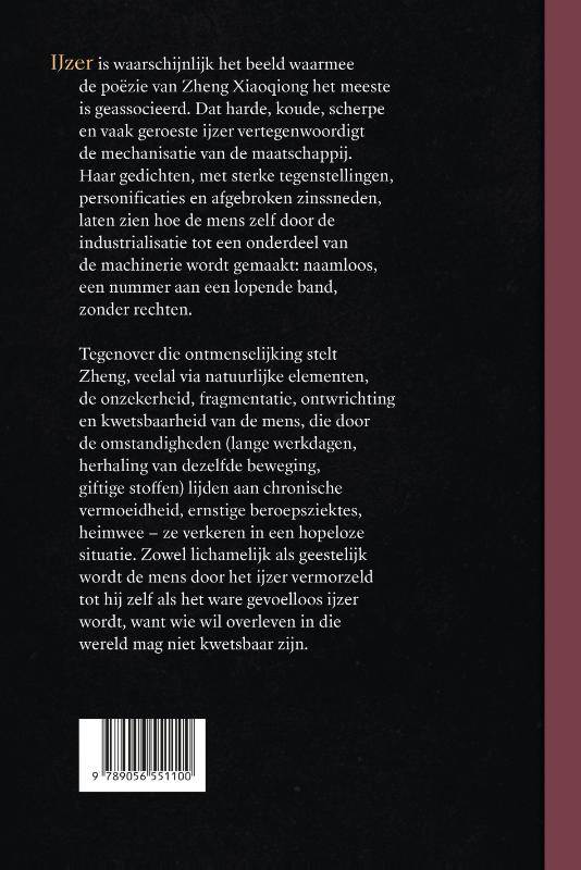 Achterkant van Als ijzer zo stil
