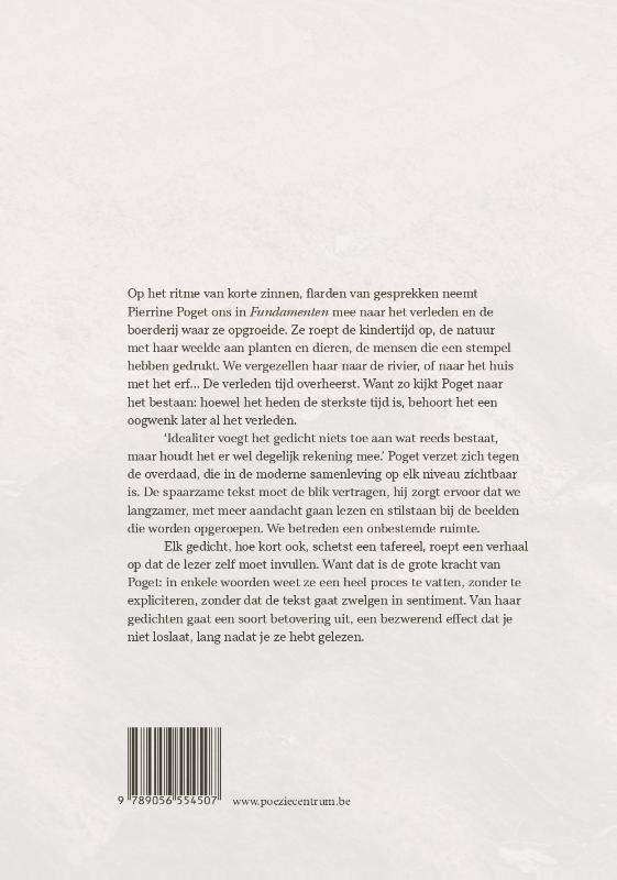 Achterkant van Fundamenten
