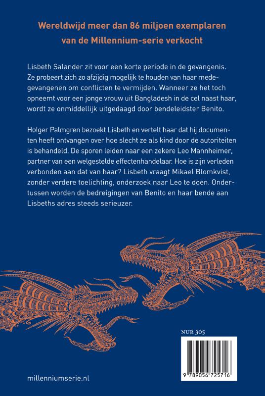 Achterkant van De man die zijn schaduw zocht