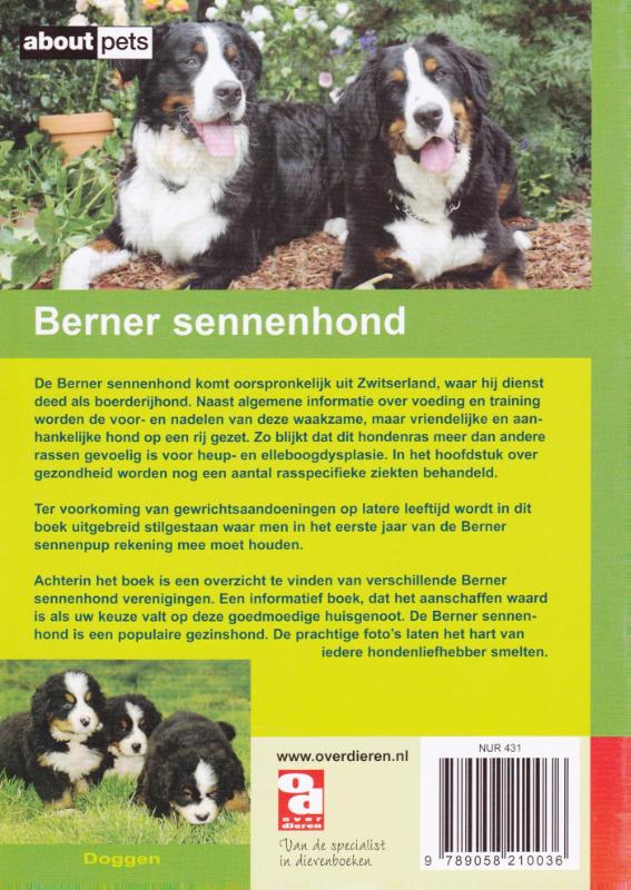Achterkant van De Berner Sennenhond