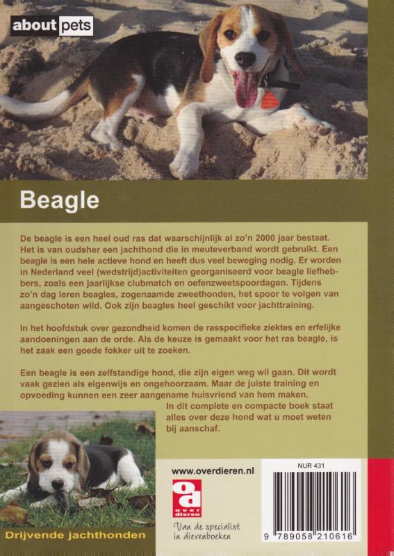 Achterkant van De Beagle