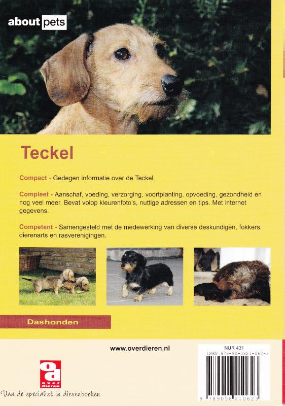 Achterkant van De Teckel