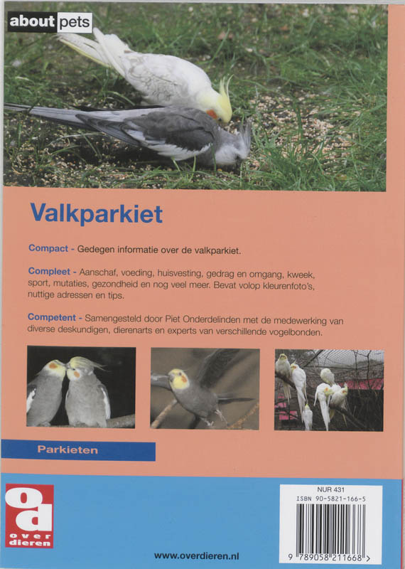 Achterkant van De Valkparkiet