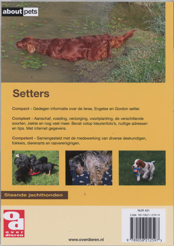 Achterkant van De Setters