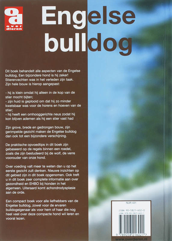 Achterkant van Engelse bulldog