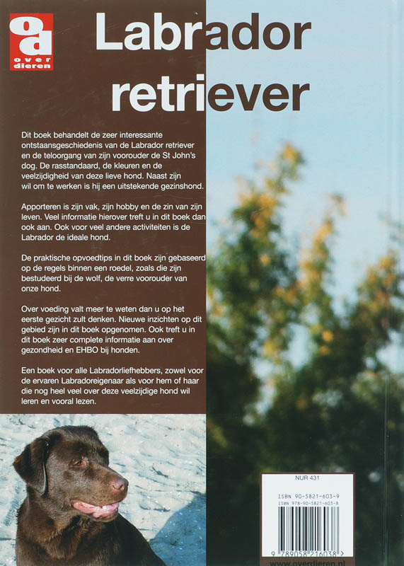 Achterkant van Labrador retriever