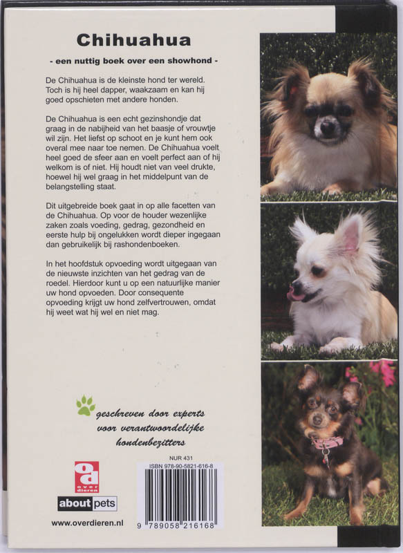 Achterkant van Chihuahua